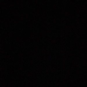 Meet your Posher, Jared